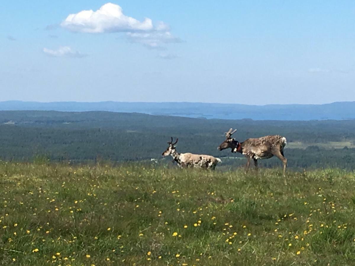 Rukansalmi Bagian luar foto